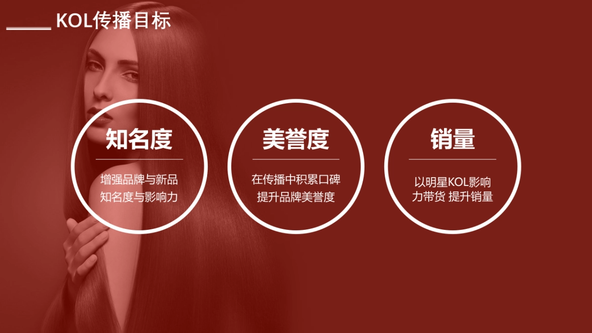 2019立白明星KOL营销传播方案_第7页