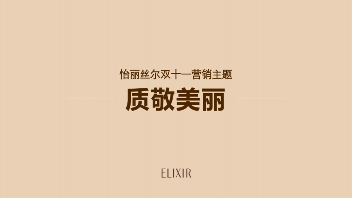 ELIXIR D11 整合营销方案_第2页