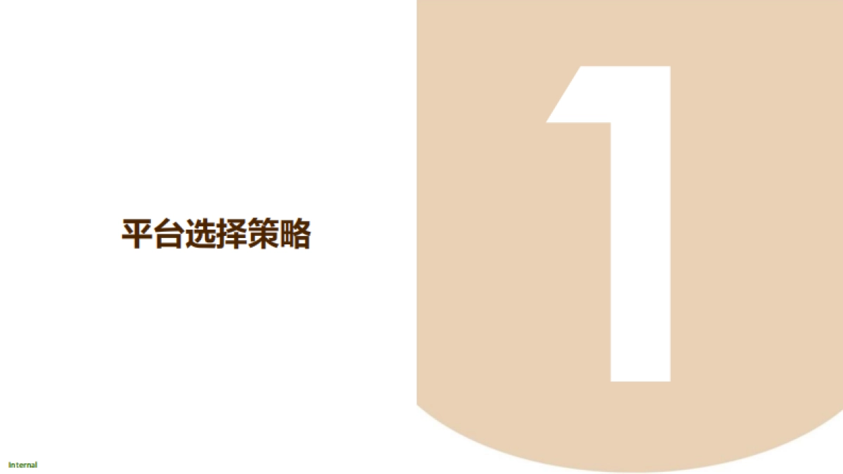 ELIXIR D11 整合营销方案_第4页