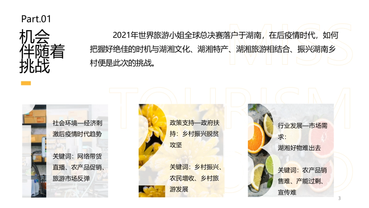 百城大咖·湘遇好物湖湘农产品营销方案_第3页