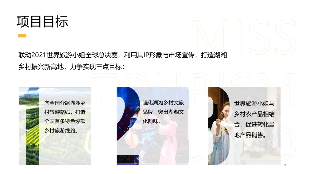 百城大咖·湘遇好物湖湘农产品营销方案_第7页