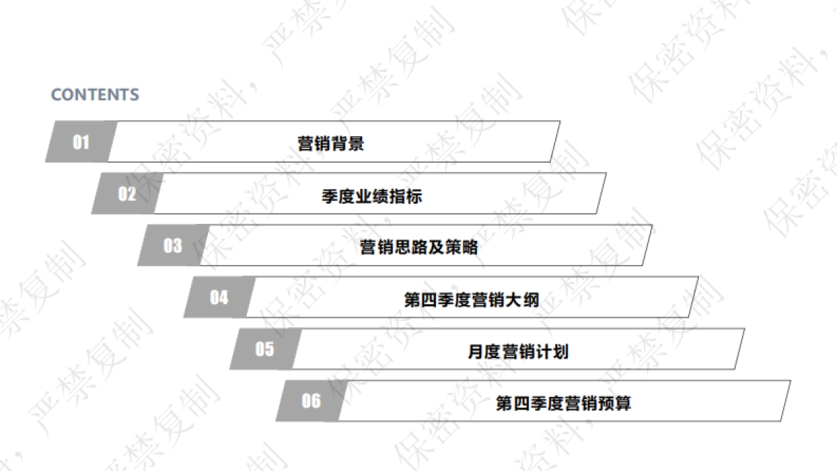 铂雅2019年第四季度(9-12)营销方案_第2页