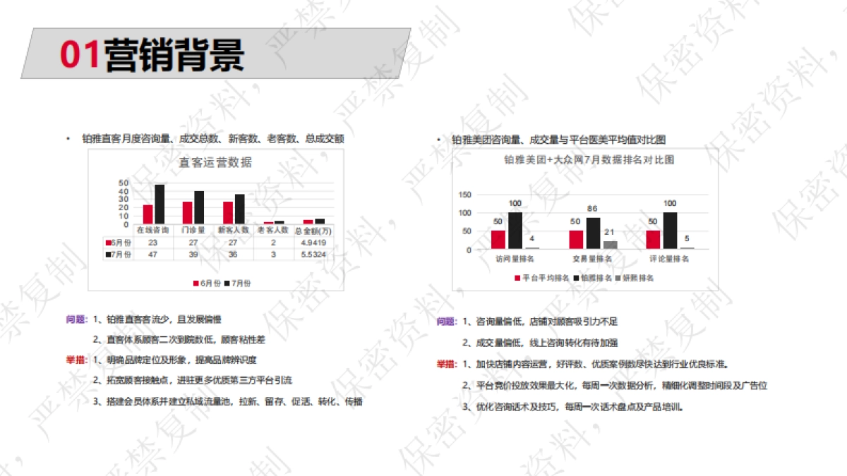 铂雅2019年第四季度(9-12)营销方案_第4页