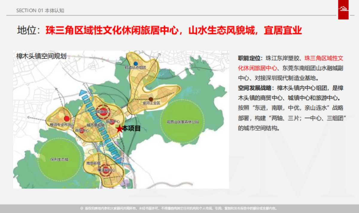 东莞樟木头镇项目前期营销定位方案_第9页
