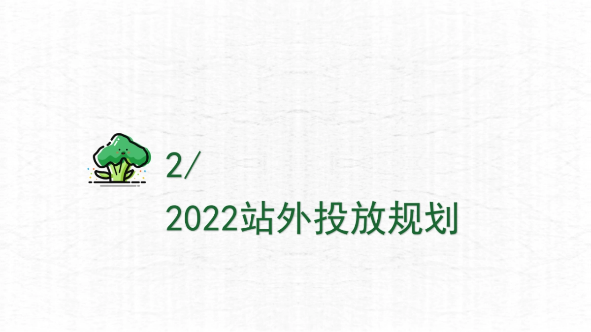 海外嘉宝2022站外投放策略方案_第5页