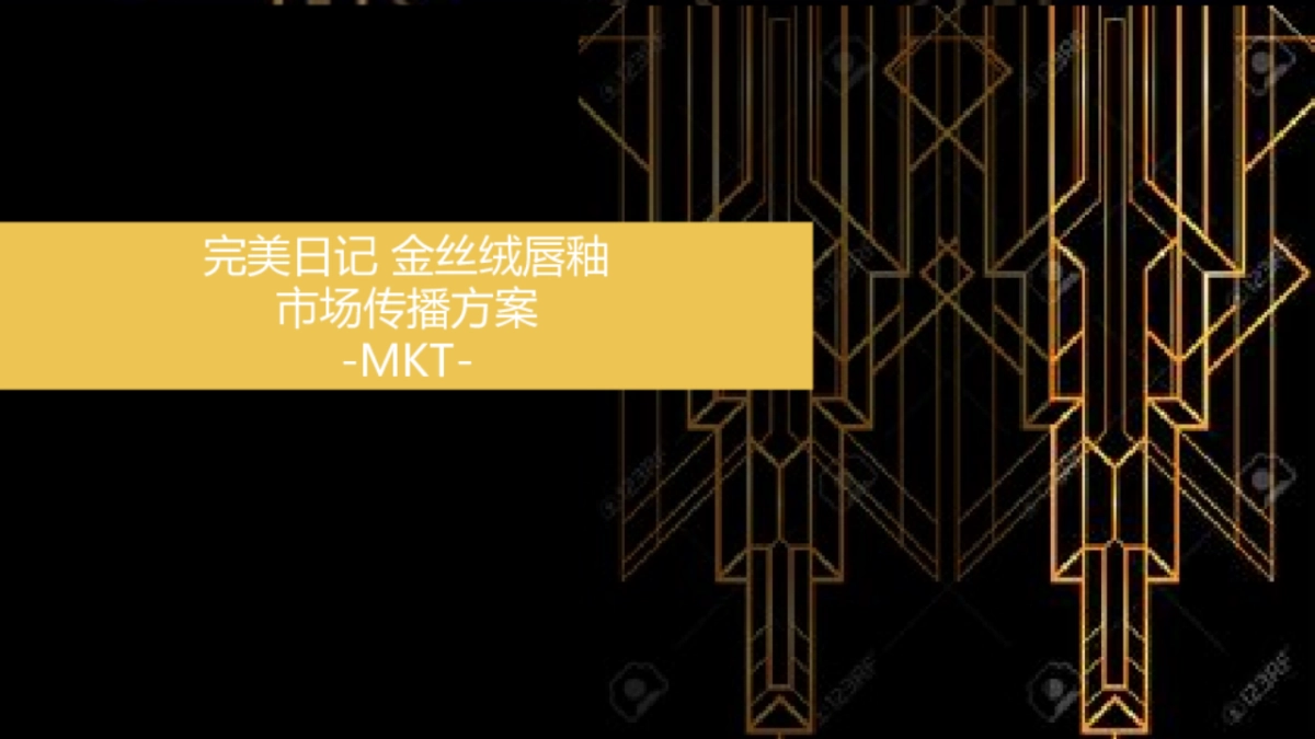 金丝绒唇釉市场传播方案-MKT_第1页