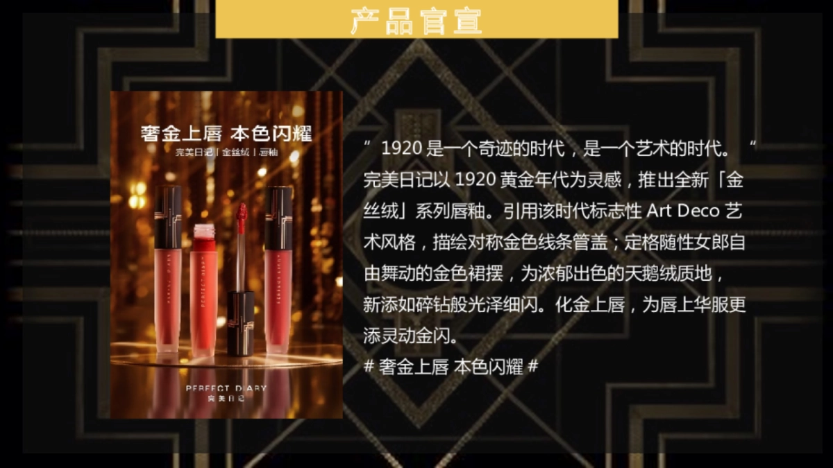 金丝绒唇釉市场传播方案-MKT_第10页