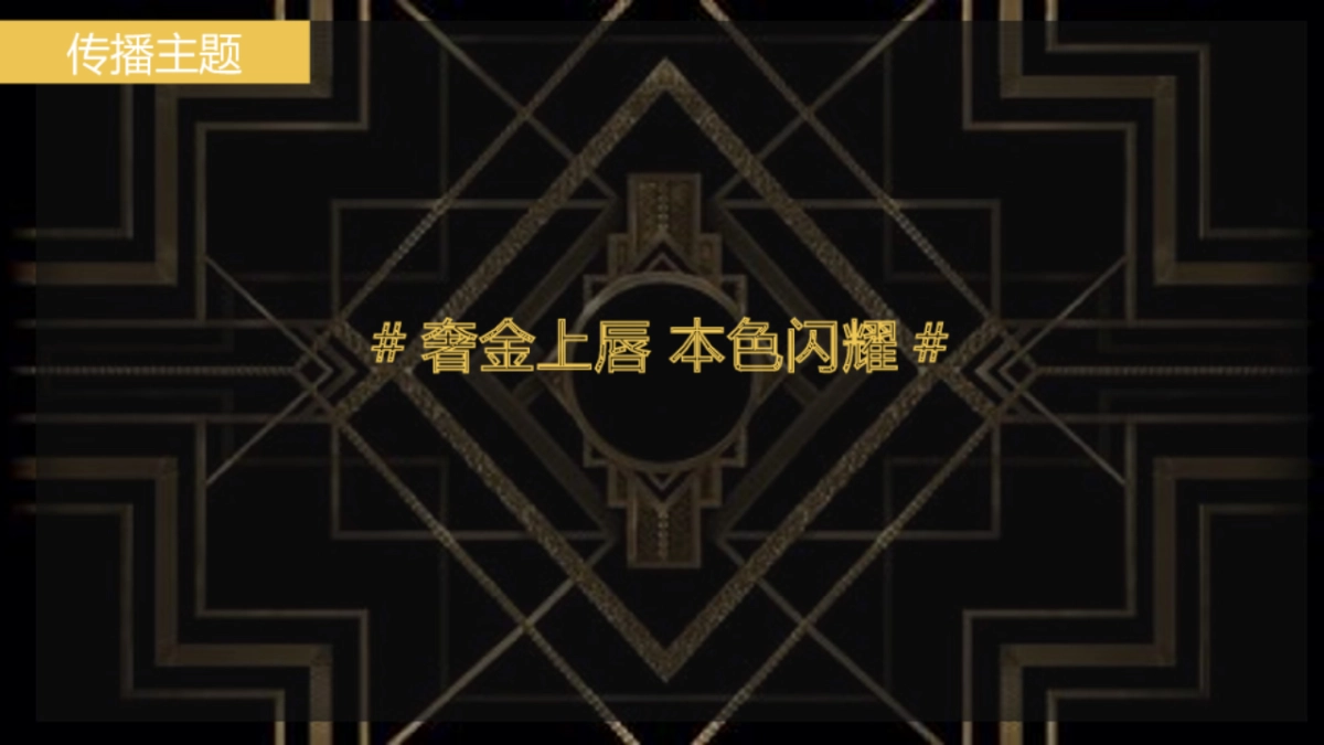 金丝绒唇釉市场传播方案-MKT_第8页