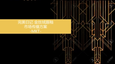 金丝绒唇釉市场传播方案-MKT