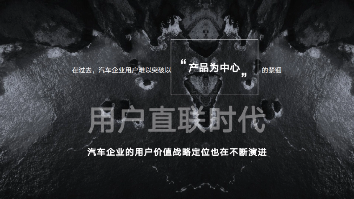 2023长城汽车魏品牌用户运营项目方案_第9页