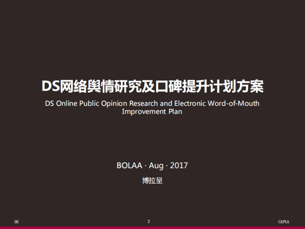 DS网络舆情研究及口碑提升计划方案（博拉）中英版_第2页