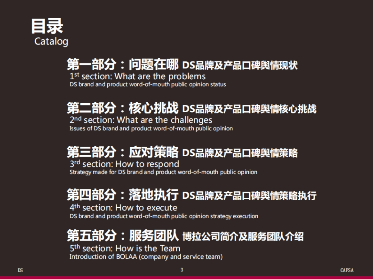 DS网络舆情研究及口碑提升计划方案（博拉）中英版_第3页