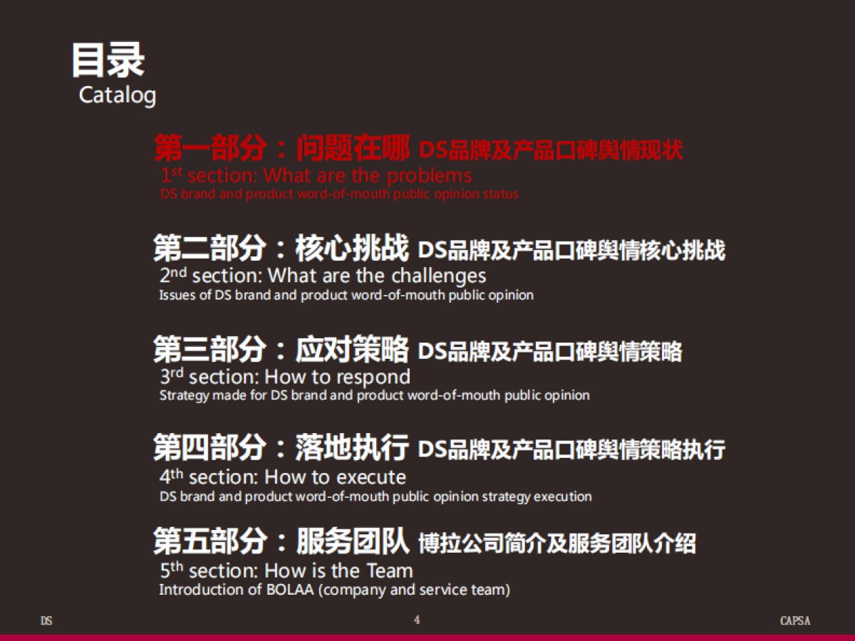 DS网络舆情研究及口碑提升计划方案（博拉）中英版_第4页