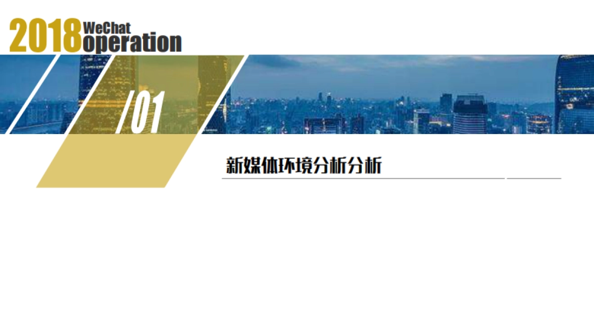 广州IFS双微运营_第4页