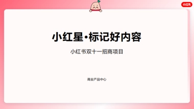 小红书·标记好内容-双十一招商通案