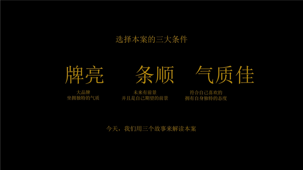 2020春华广告-招商·城市主场推广策略提报_第5页