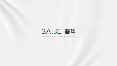 2020春华广告-招商·城市主场推广策略提报