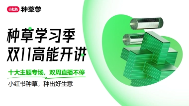 双11直播-教育培训行业