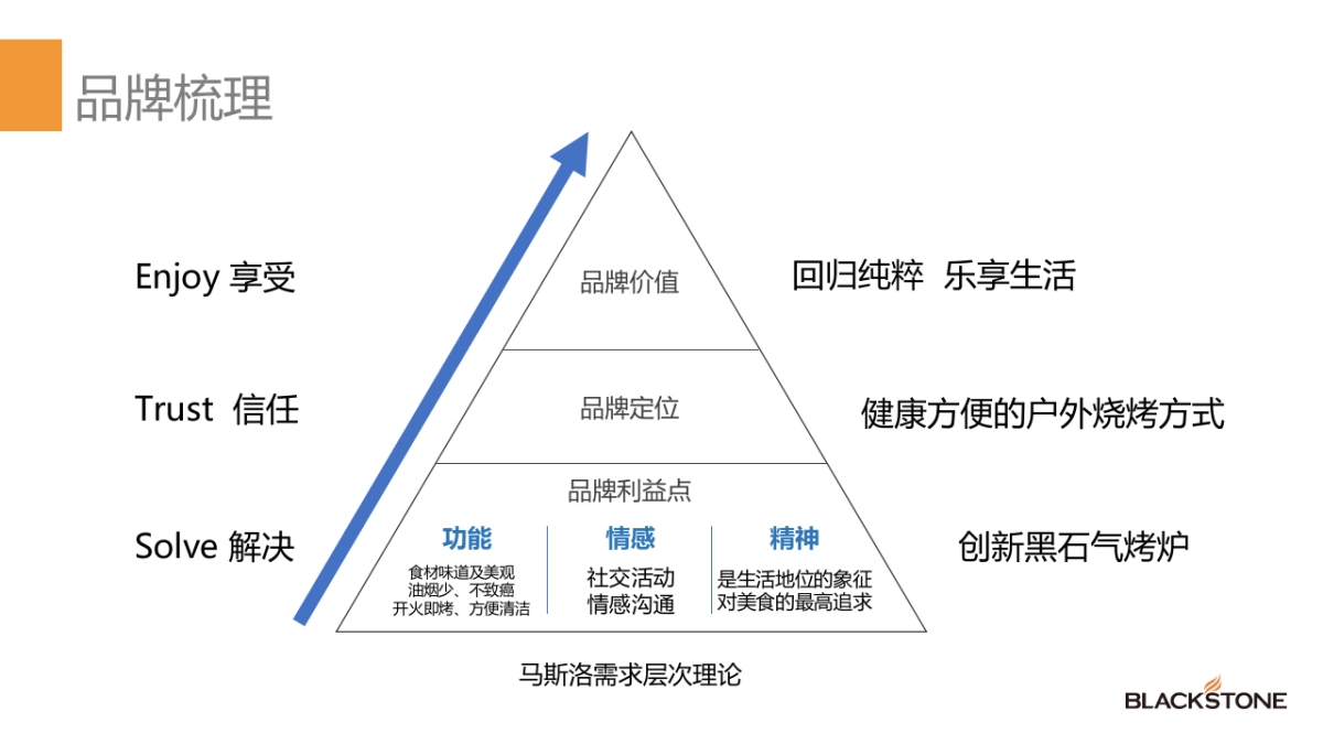 2019知名烤炉年度品牌网络营销推广方案（含抖音、小红书、双微运营）_第3页