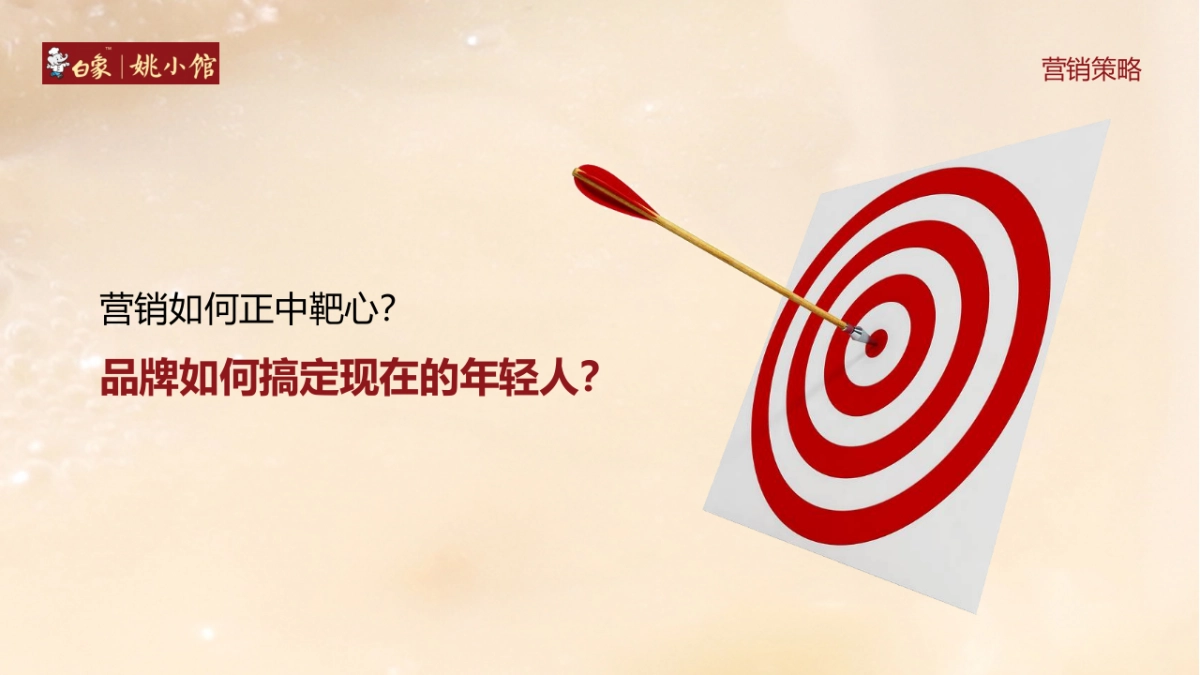 白象自热食品品牌线上抖音营销策略方案_第9页