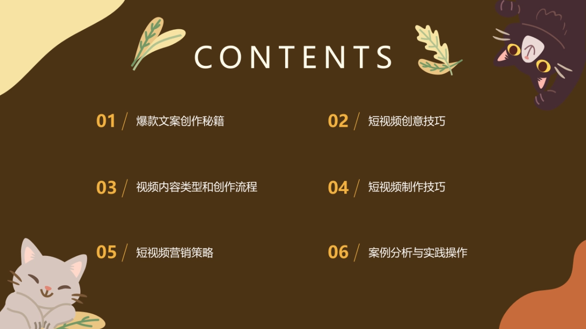 爆款文案创作:抖音成功之道_第2页