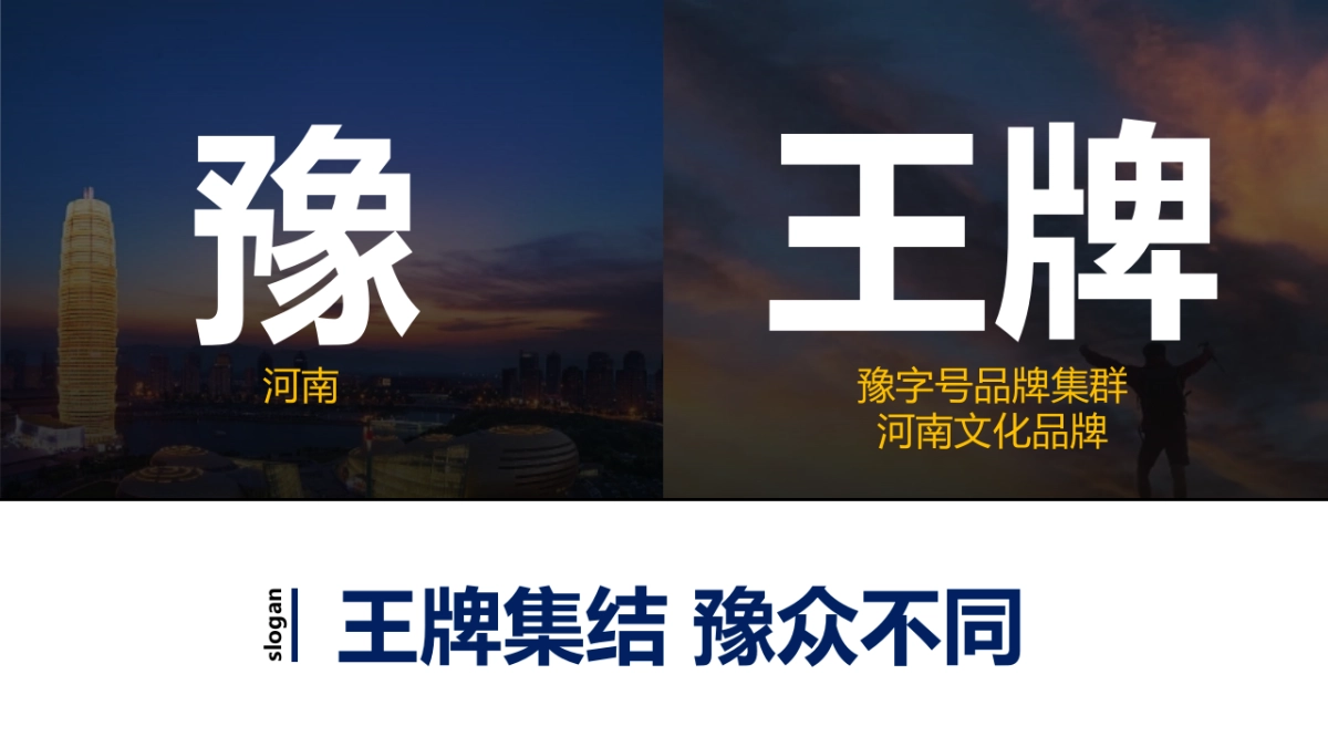 第四届河南中原农产品品牌节直播带货活动策划方案_第8页