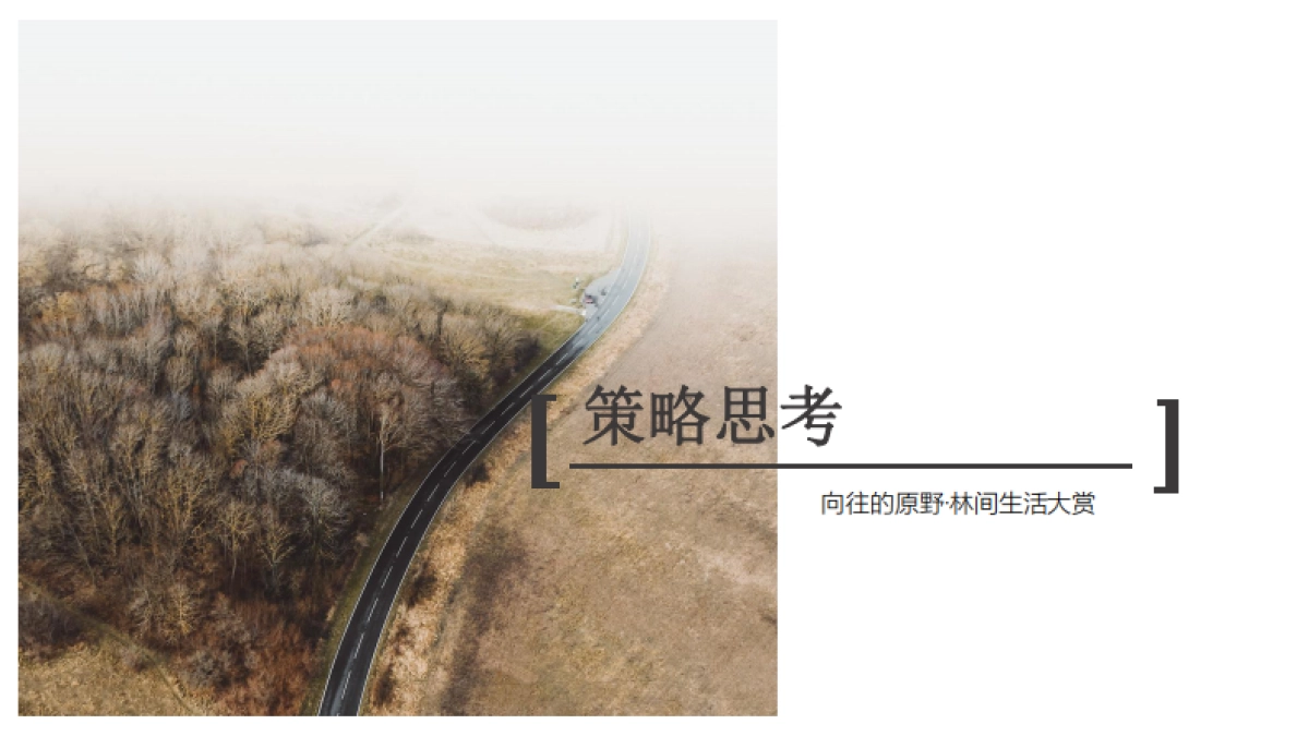 2020昭君原野国际避暑康养度假区整体营销推广（抖音）案_第9页