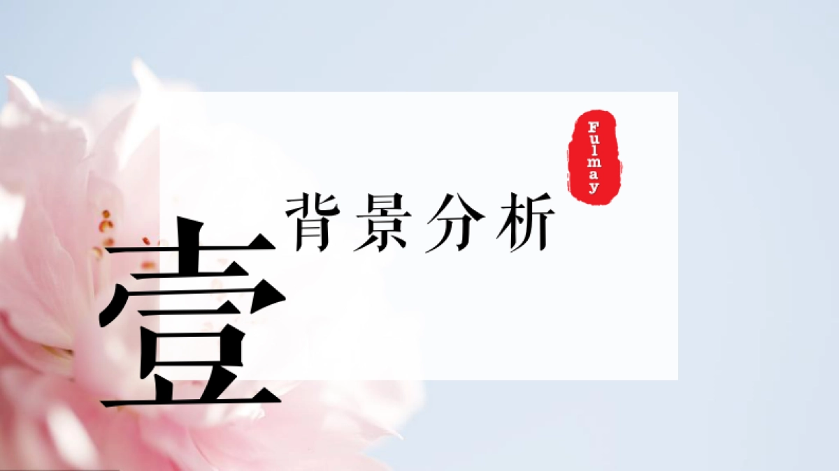 赋美生活小红书抖音线上传播方案_第3页