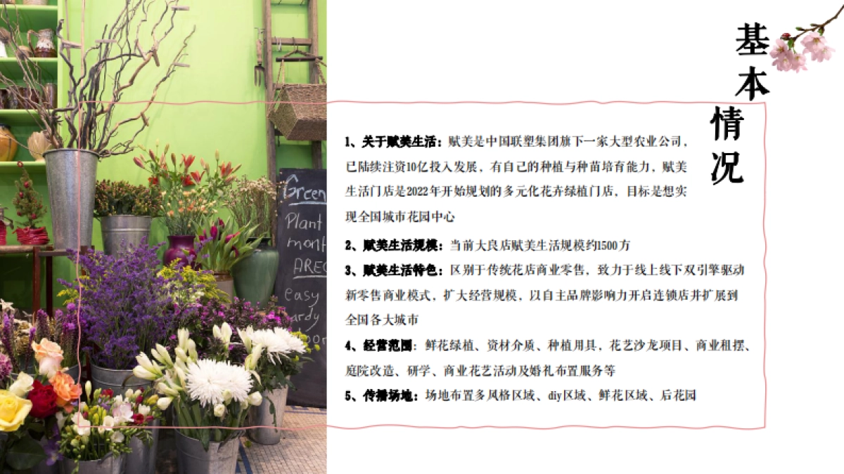 赋美生活小红书抖音线上传播方案_第5页