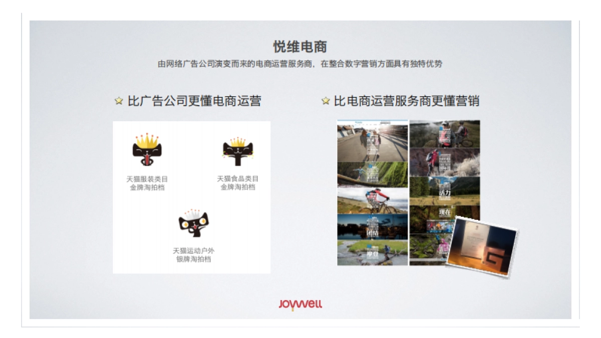 2016东阿阿胶双十一活动创意暨电商运营沟通案_第4页