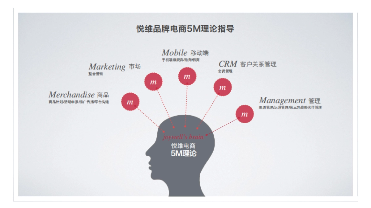 2016东阿阿胶双十一活动创意暨电商运营沟通案_第7页