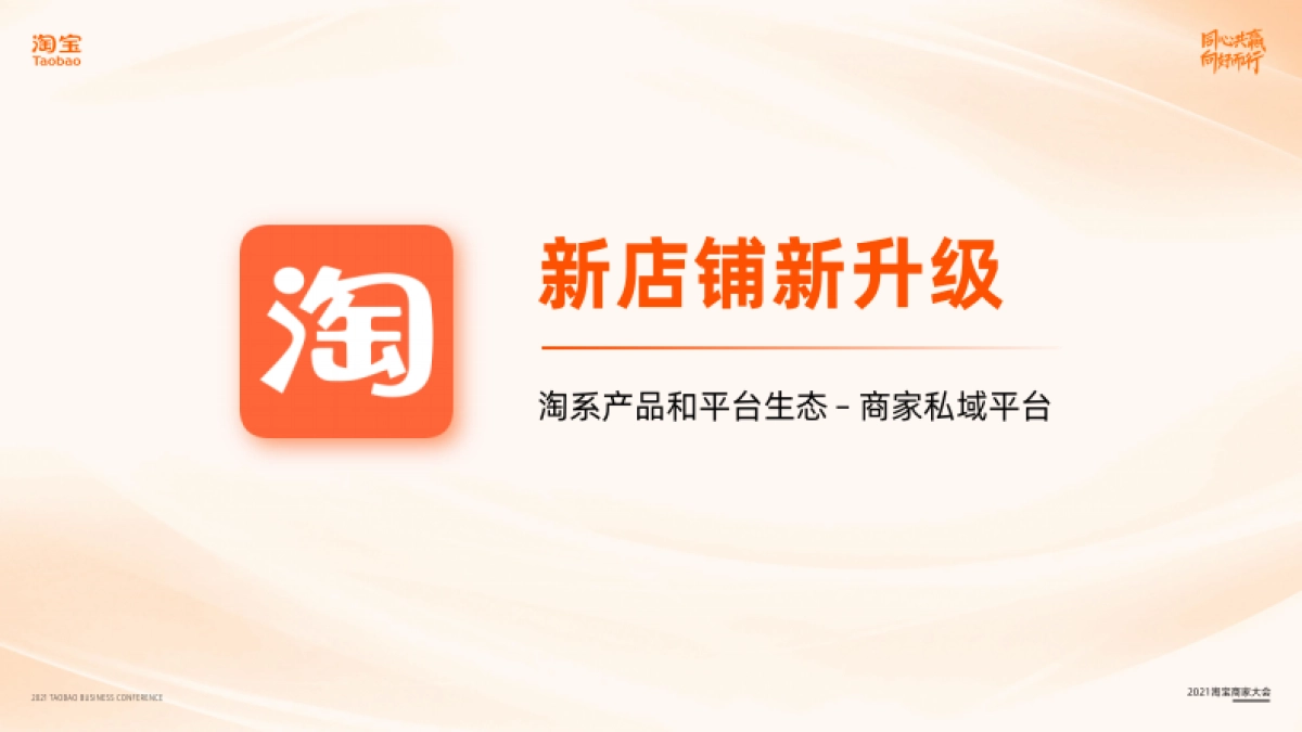 2021年淘宝商家私域双11备战指南_第3页