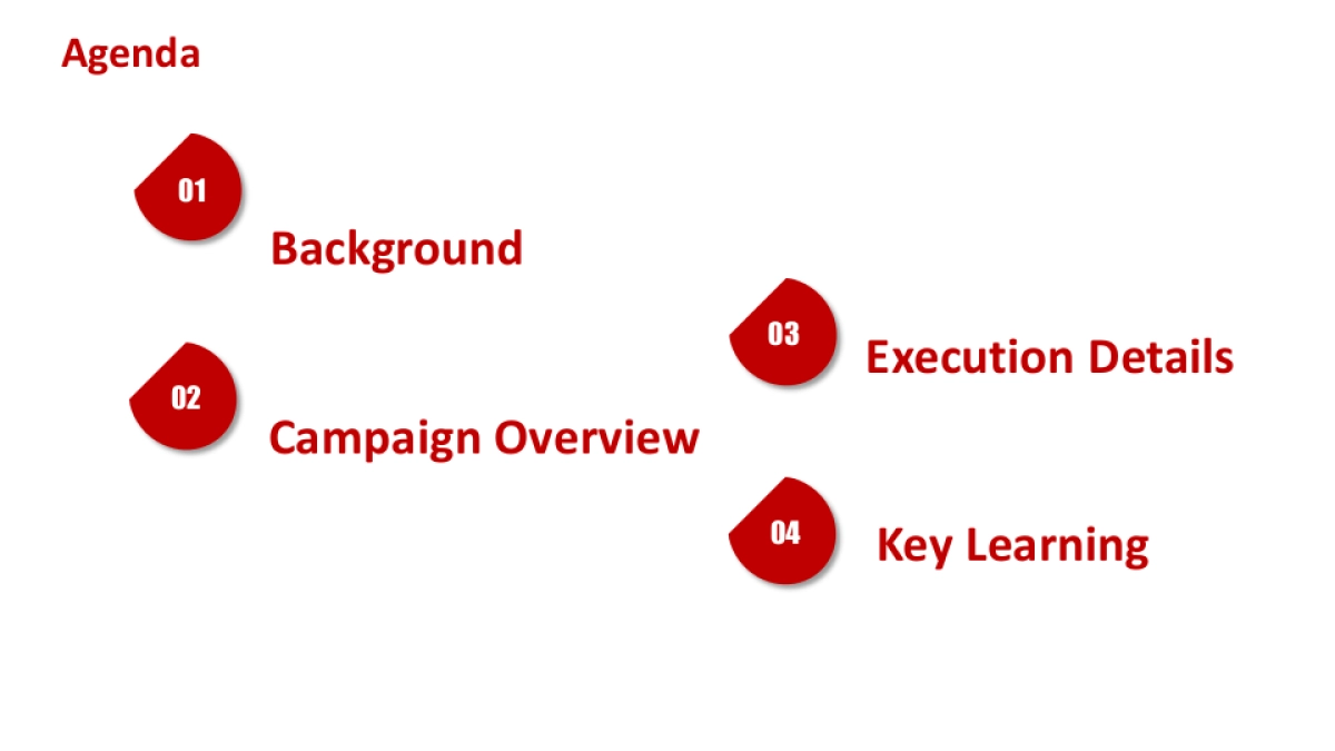 可口可乐京东品牌日结案英文版_第2页