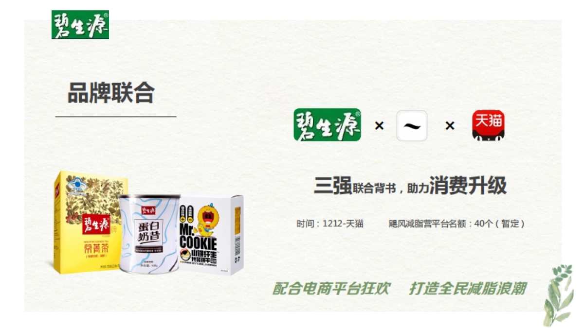 2019碧生源电商冬季活动方案-天猫_第4页