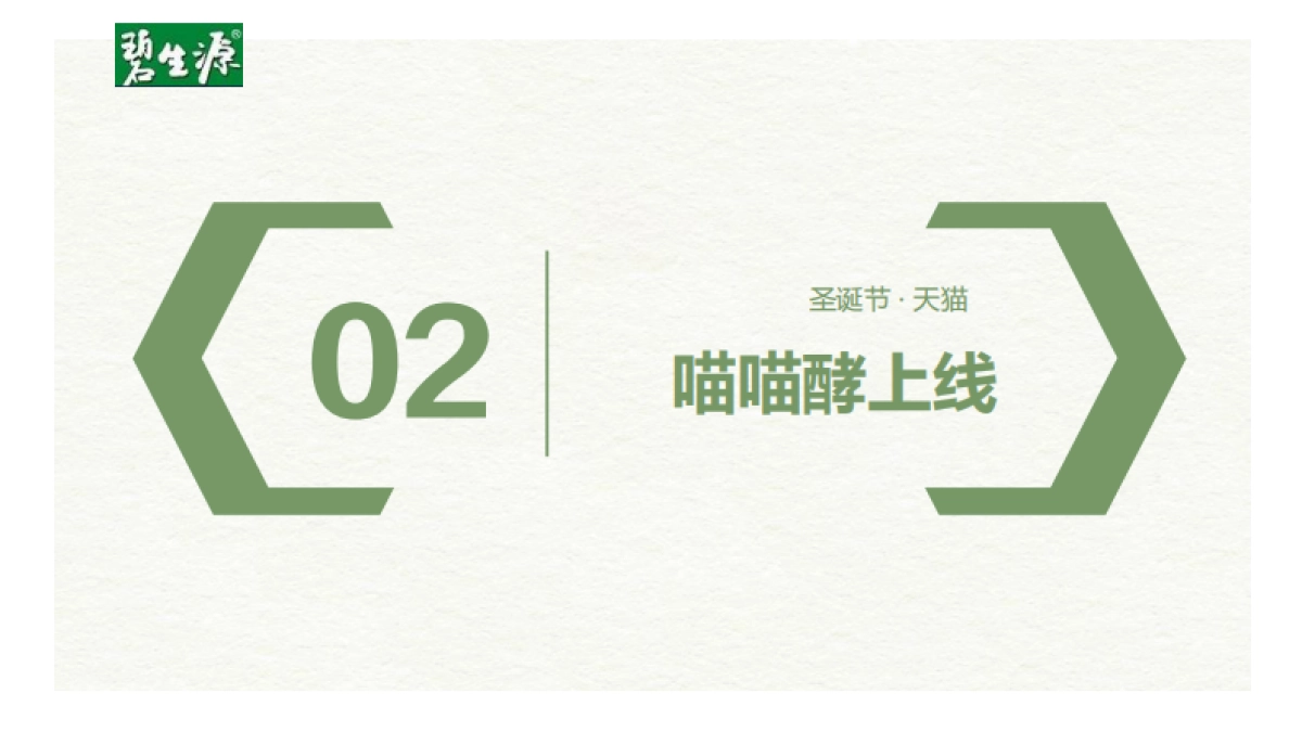 2019碧生源电商冬季活动方案-天猫_第9页