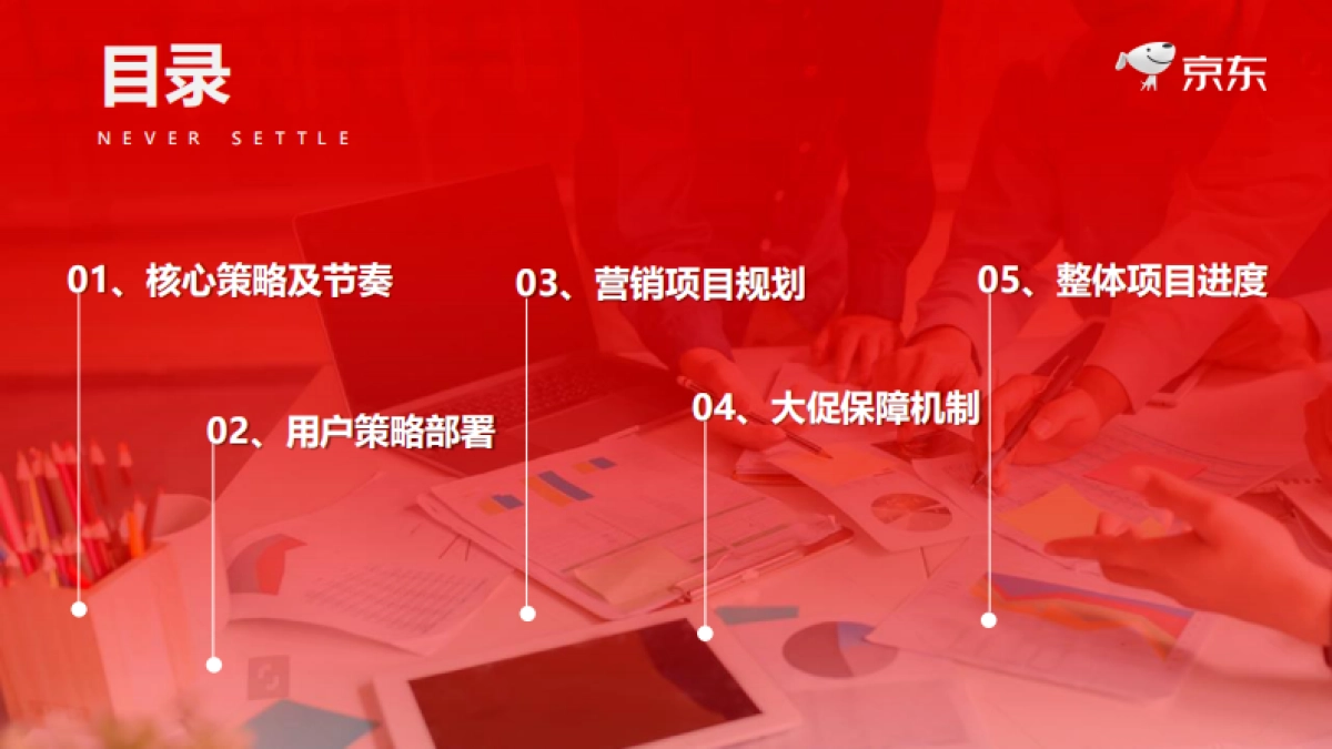 2021年京东618项目规划_第2页