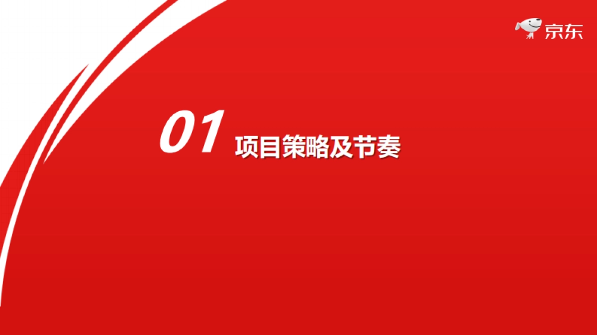 2021年京东618项目规划_第3页