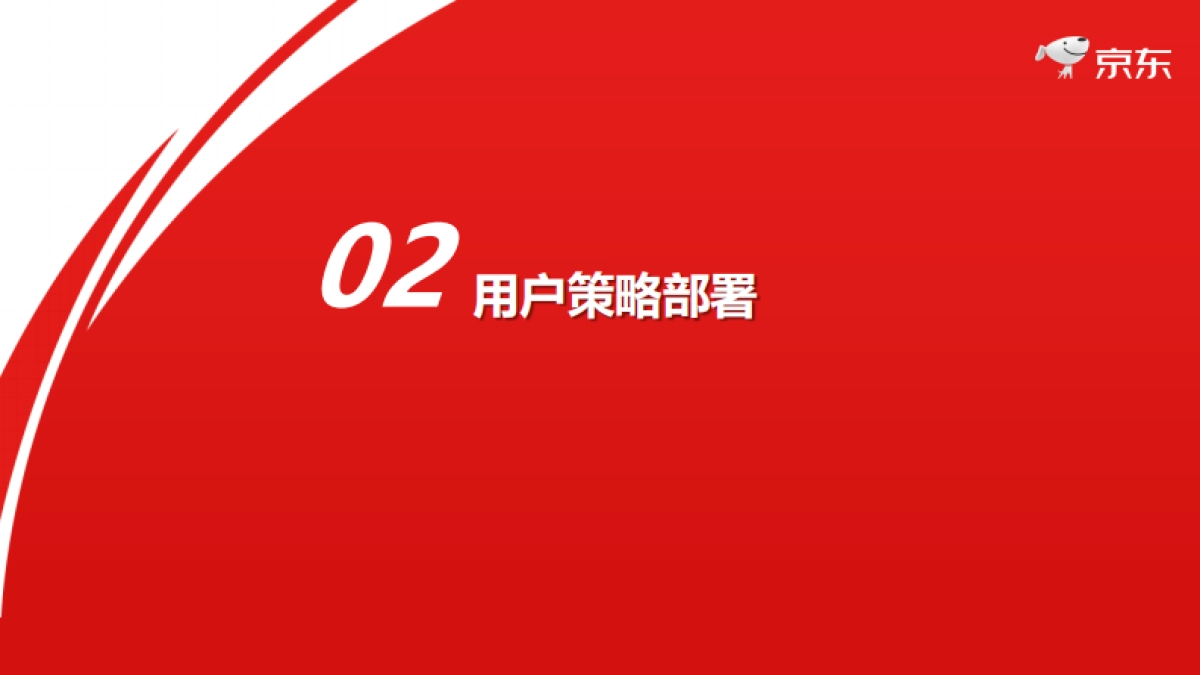 2021年京东618项目规划_第8页