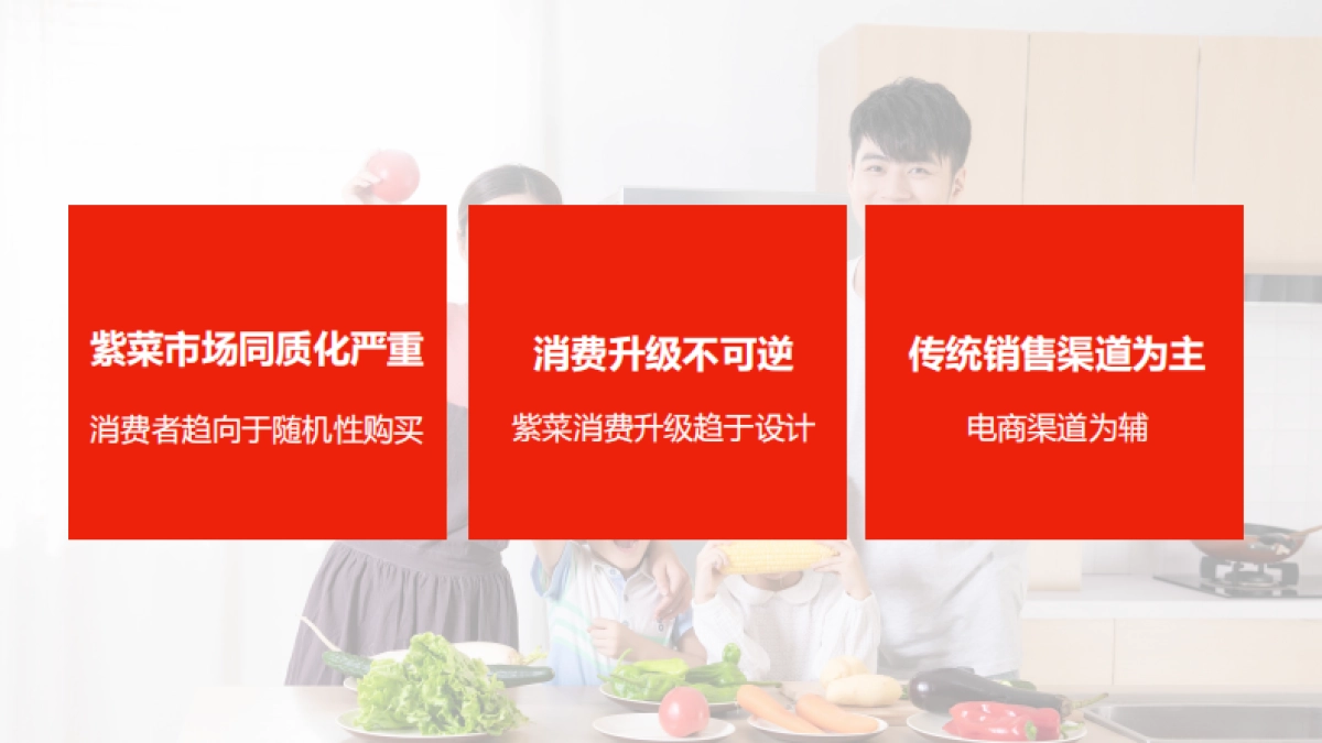 阿一波紫菜公关推广方案_第2页