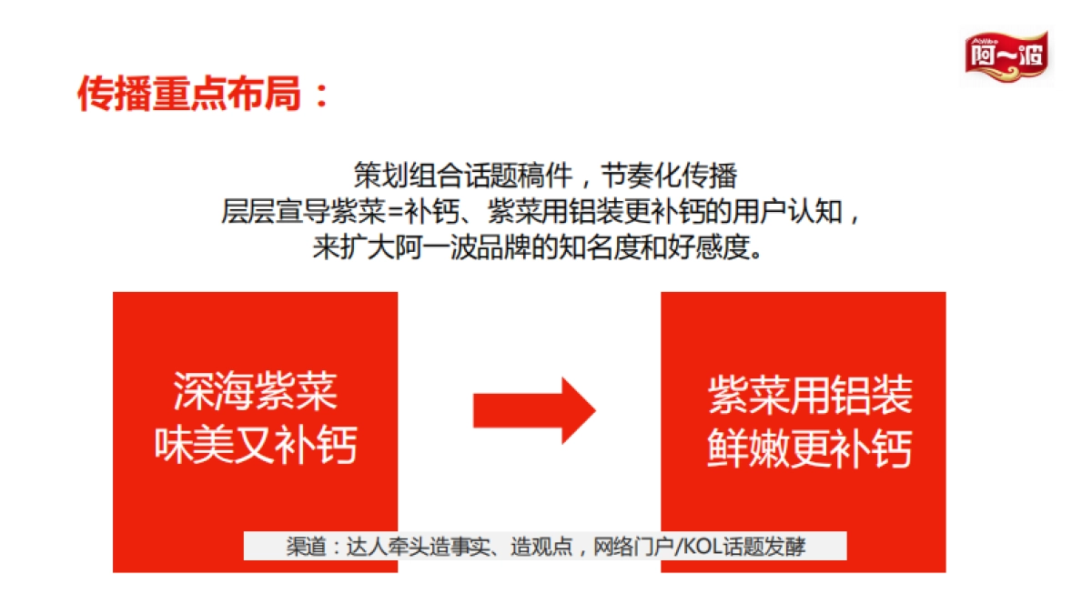 阿一波紫菜公关推广方案_第5页