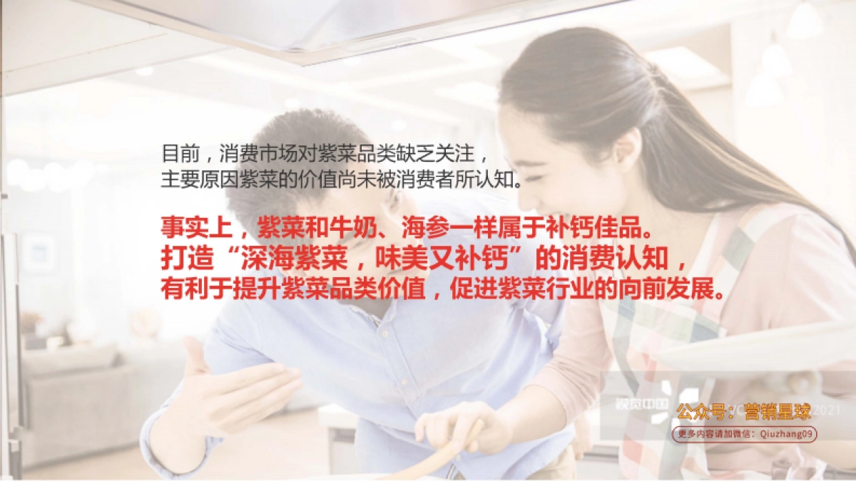 阿一波紫菜公关推广方案_第7页