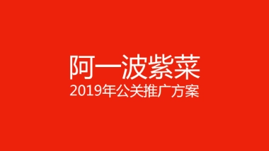 阿一波紫菜公关推广方案