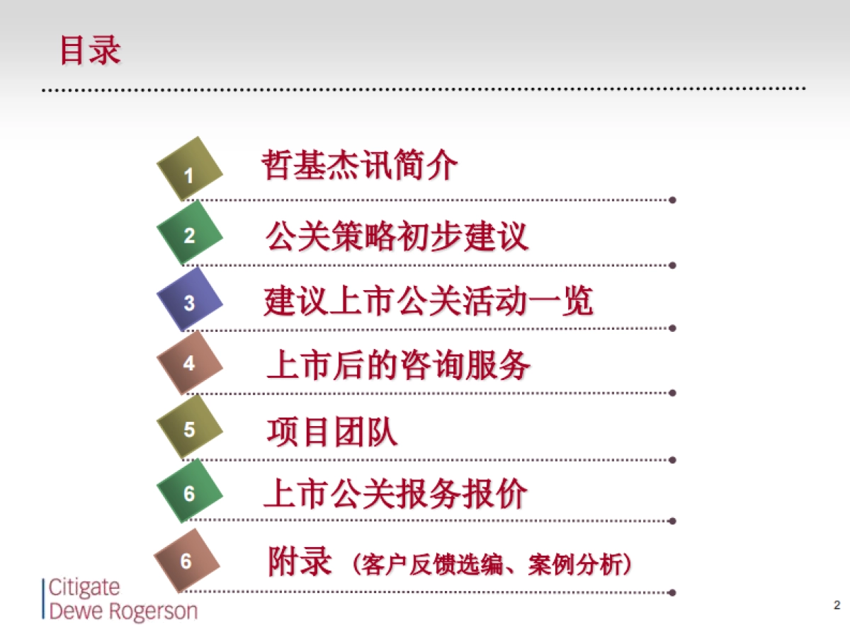 国电科技H股IPO财经公关方案_第2页