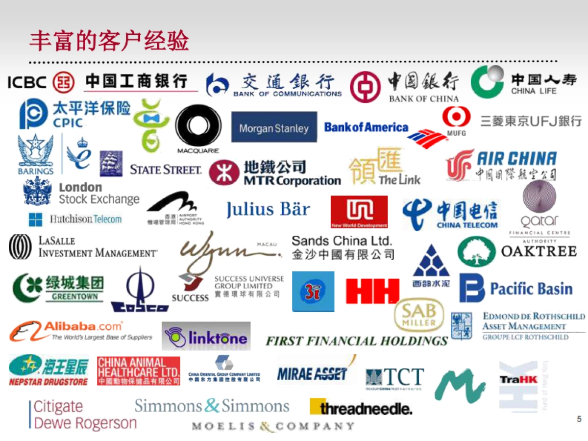 国电科技H股IPO财经公关方案_第5页