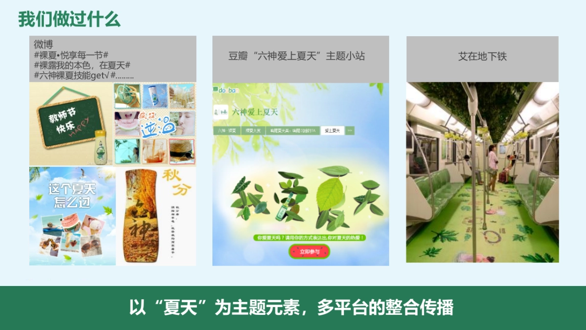 2016蓝色光标六神公关传播方案_第5页