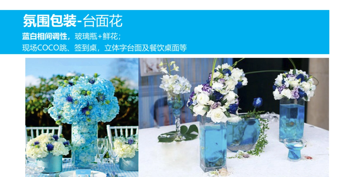 2017龙光世纪海岸新品发布会策划方案_第10页