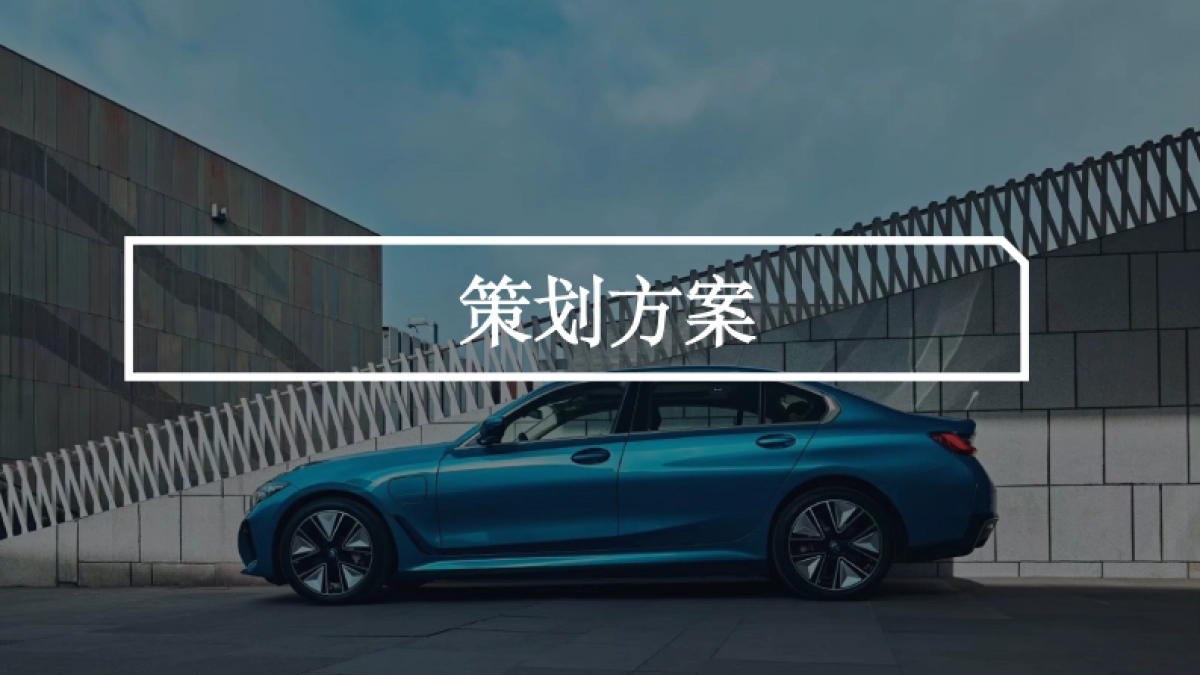 豪华汽车品牌电动车系上市体验日活动方案_第2页