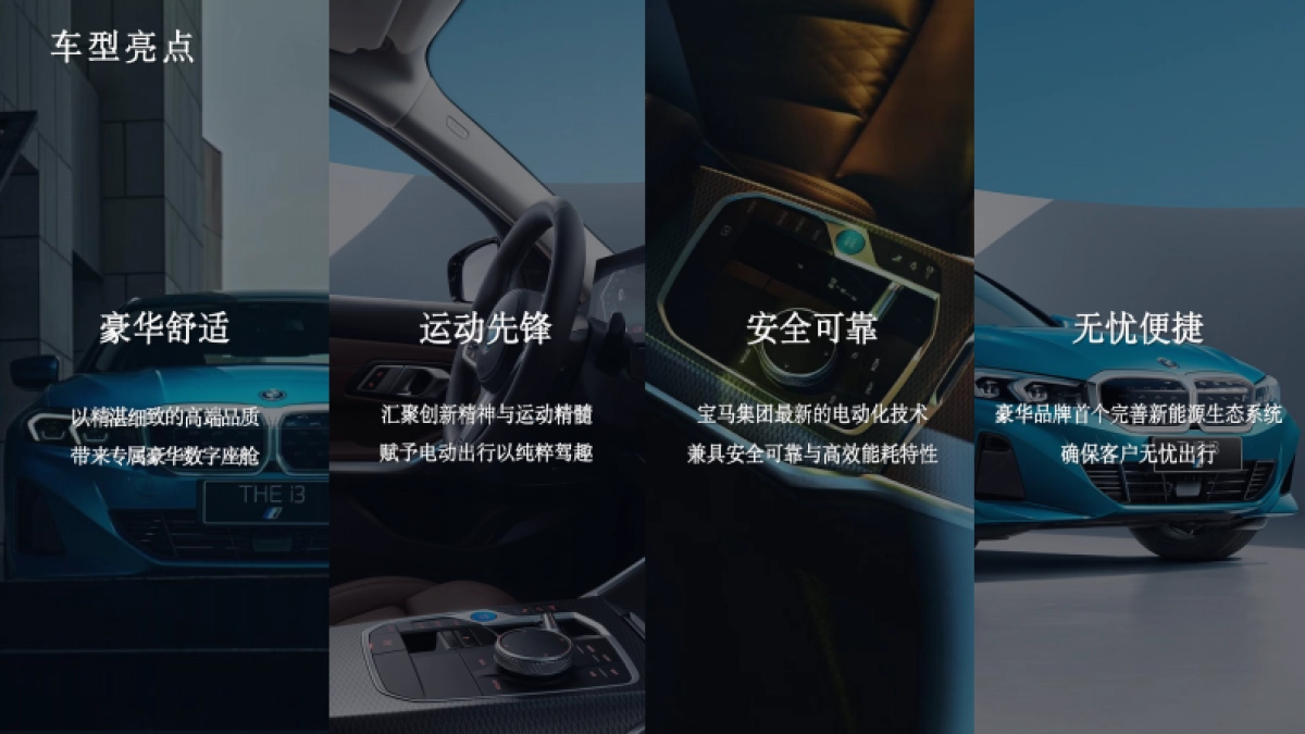 豪华汽车品牌电动车系上市体验日活动方案_第5页