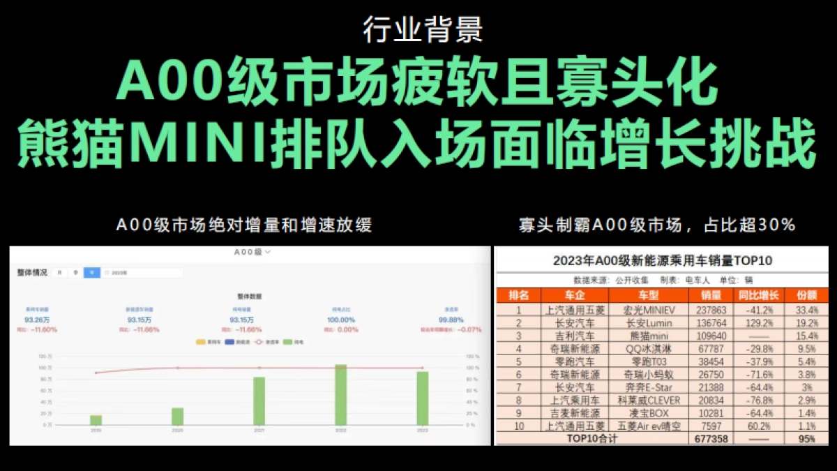 吉利熊猫传播项目_第3页