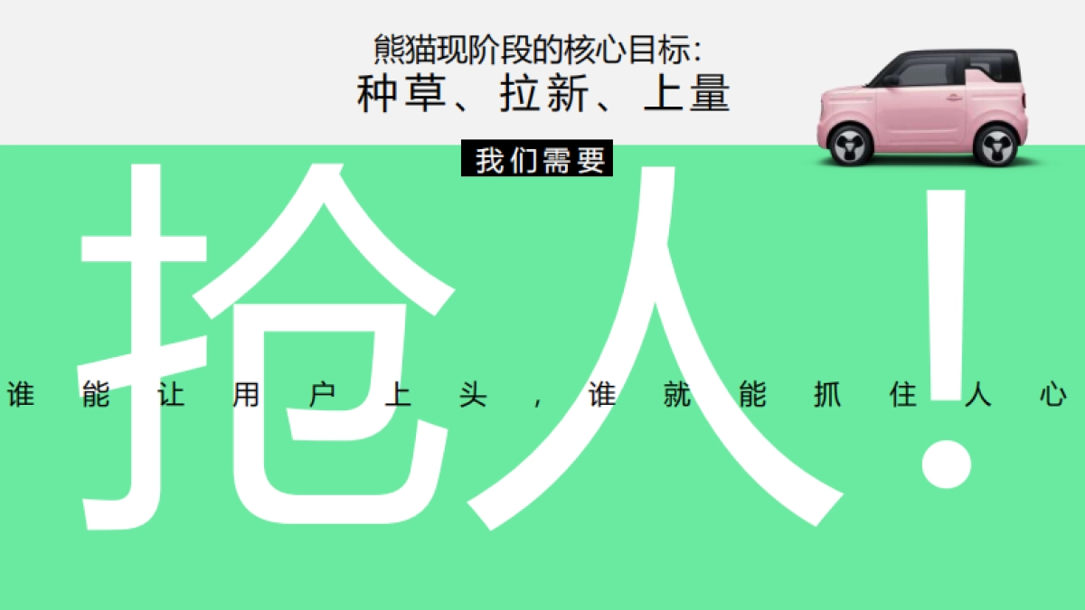 吉利熊猫传播项目_第5页